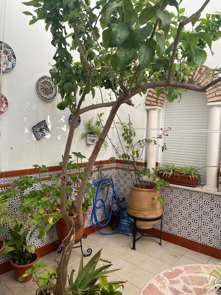 Alyana Hostel Córdoba Exterior foto